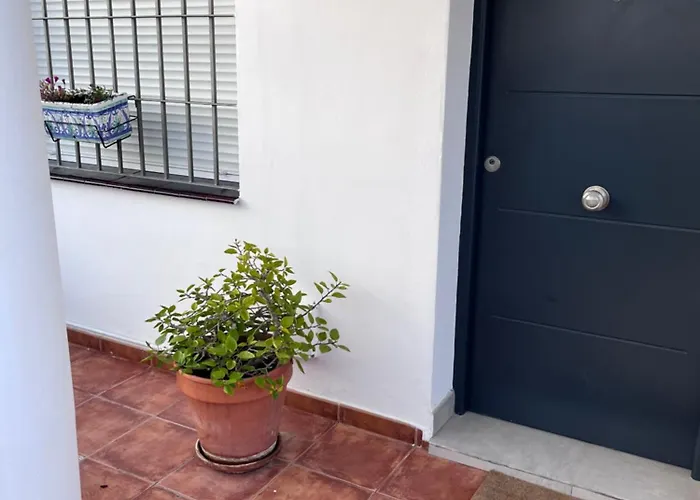 Tomillo Malaga